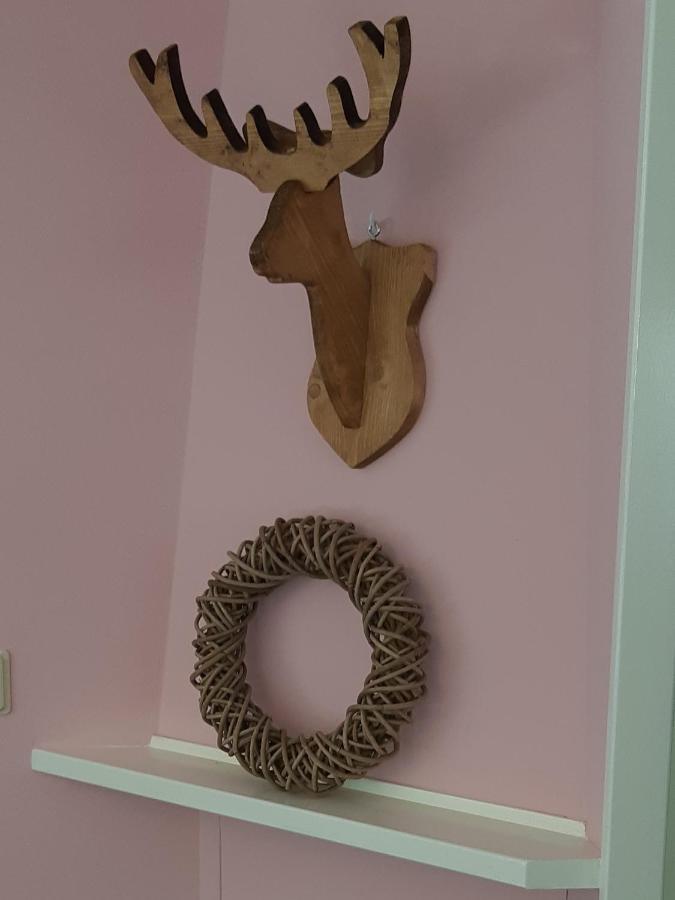 Chalet Hoenderloo Spar エクステリア 写真